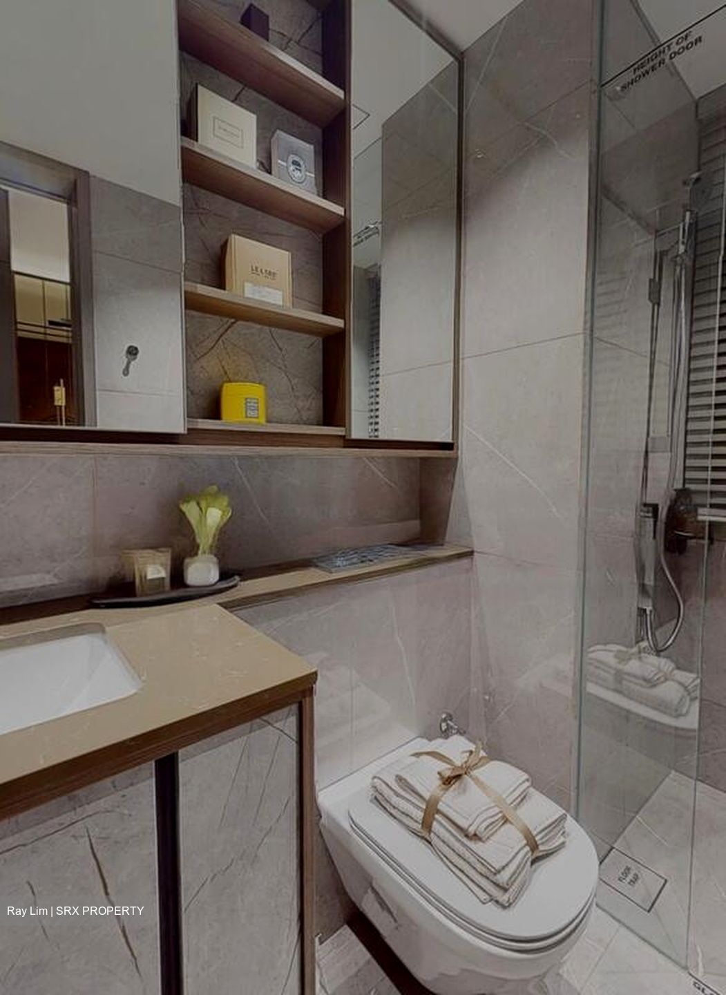 The Myst (D23), Condominium #452651631